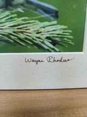 Signed Original Fine Art Photography by Renowned KANSAS Artist WAYNE RHODUS