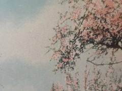 Wallace Nutting Hand-Colored Landscape Print, Decked as a Bride, Label Numbered