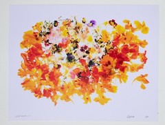 Edible Flowers – 17″ x 22″ Fine Art Photography Print- Abstract Food Photography