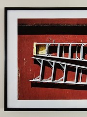 ART – Signed Ryan Miller 35mm Photograph – Modern Art Print 19.5×13.5 Framed