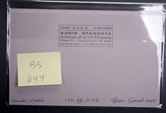 Boris Starosta 3D Stereoview – CREATIVE Garden Violet Signed 2004