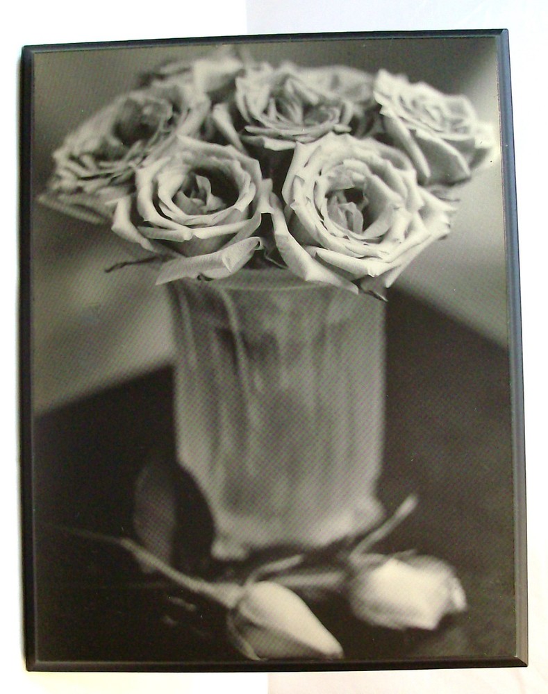 Wood wall hanging. Black and White (gray tone) Roses in vase. Beveled Edge