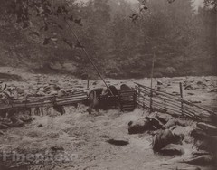 1900/72 EDWARD CURTIS Photogravure NATIVE AMERICAN INDIAN Hupa Fishing Art 11×14