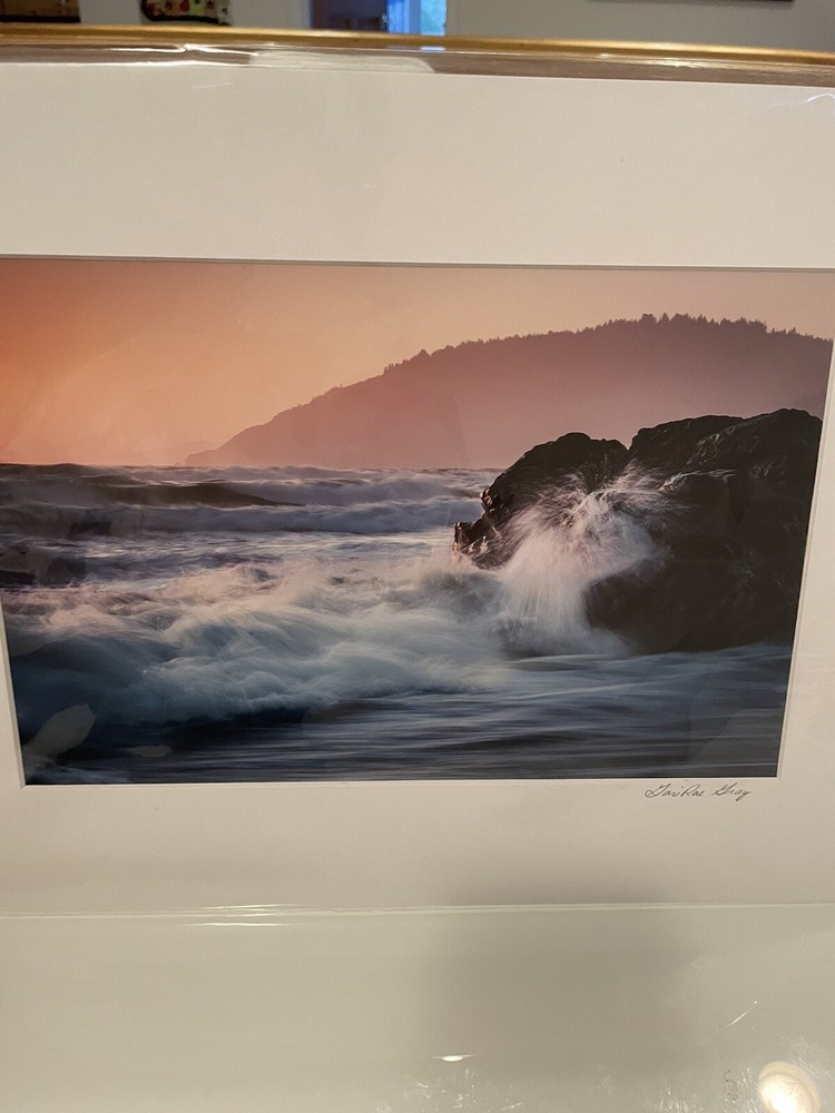 White Mat Photo Landscape Goat Rock Sonoma County Nature High Quality