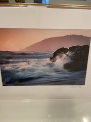 White Mat Photo Landscape Goat Rock Sonoma County Nature High Quality