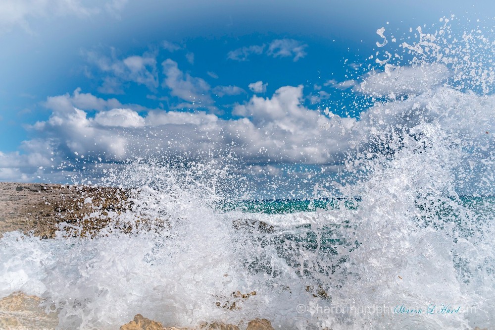 Ocean Wave Mexico wall deco Photo Print