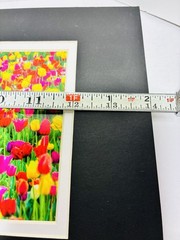 Beautiful Picture of a field of Tulips signed by artist D Hall