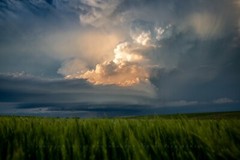 Storm Photography Print – Picture of Thunderstorm Over Wheat Field in Kansas