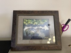 Framed and signed By James T Jones photograph Of Elk In Wildlife