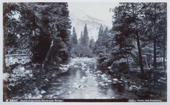 NORTH DOME, TIS-SA-ACK BRIDGE YOSEMITE VALLEY. TABER. ORIGINAL ALBUMIN PHOTO CIRCA 1890