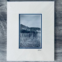 New Print Beach Fences on Dunes Black & White 8×10 Framed DLS Signed