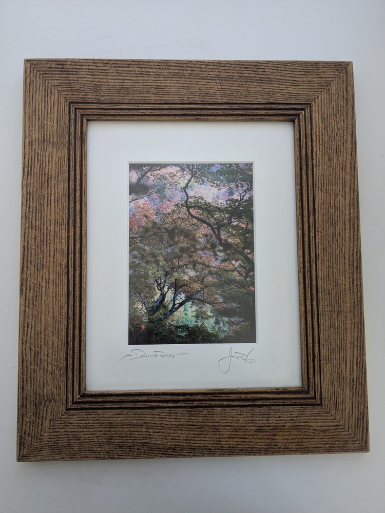 Dancing Trees Josh Axelrod Photograph. 5×7 framed and matted to 8×10