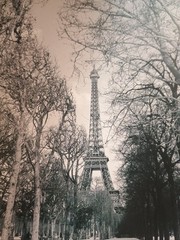 Vtg Pair Set Lot Cyndi Schick Eiffel Tower Stairs Signed Photograph Black White