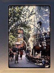 Lot Of 40 Vintage Worldwide Peru Jungle Vacation Amateur 35mm Color Slides ct36