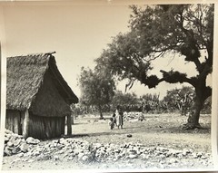 Mexico Famille Campagne Travel c1955 Photograph Vintage Analog