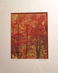 «Indian Red Lake» Signed Photography 15.5 X 19.5″ Framed & Matted 8 x 10