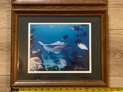 Pair Signed Cayman Islands Underwater Photographs Cathy Church Mike Lawrence