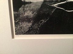 John Sexton signed photograph-White Branch, Yosemite 10×13 on 16×20 mat