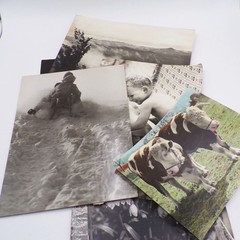 Bundle Photographs Large Format GDR Animals Everyday Professions Vintage Photos
