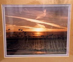 New Emmitt Phalen Sunset Geese Flock Over Water Framed Photograph Print