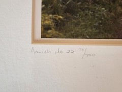 Lot Of 2 Bill Coleman Signed Amish No 22 & 251 Matted Photographs