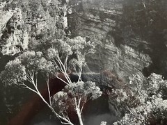 DR KC BROWN AUSTRALIAN LARGE PHOTOGRAPH B&W «GHOST GUM BELOW THE CLIFFS» 1980