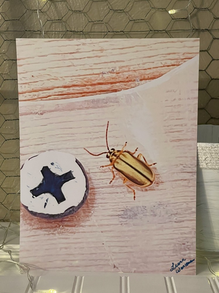 Cucumber Beetle- landscape photography 8.5×11