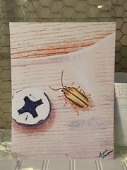 Cucumber Beetle- landscape photography 8.5×11