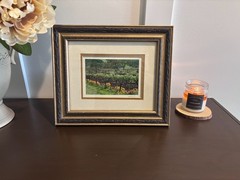 Framed Signed Photograph Sonoma Valley Vineyard by Bob Martin | California Wine