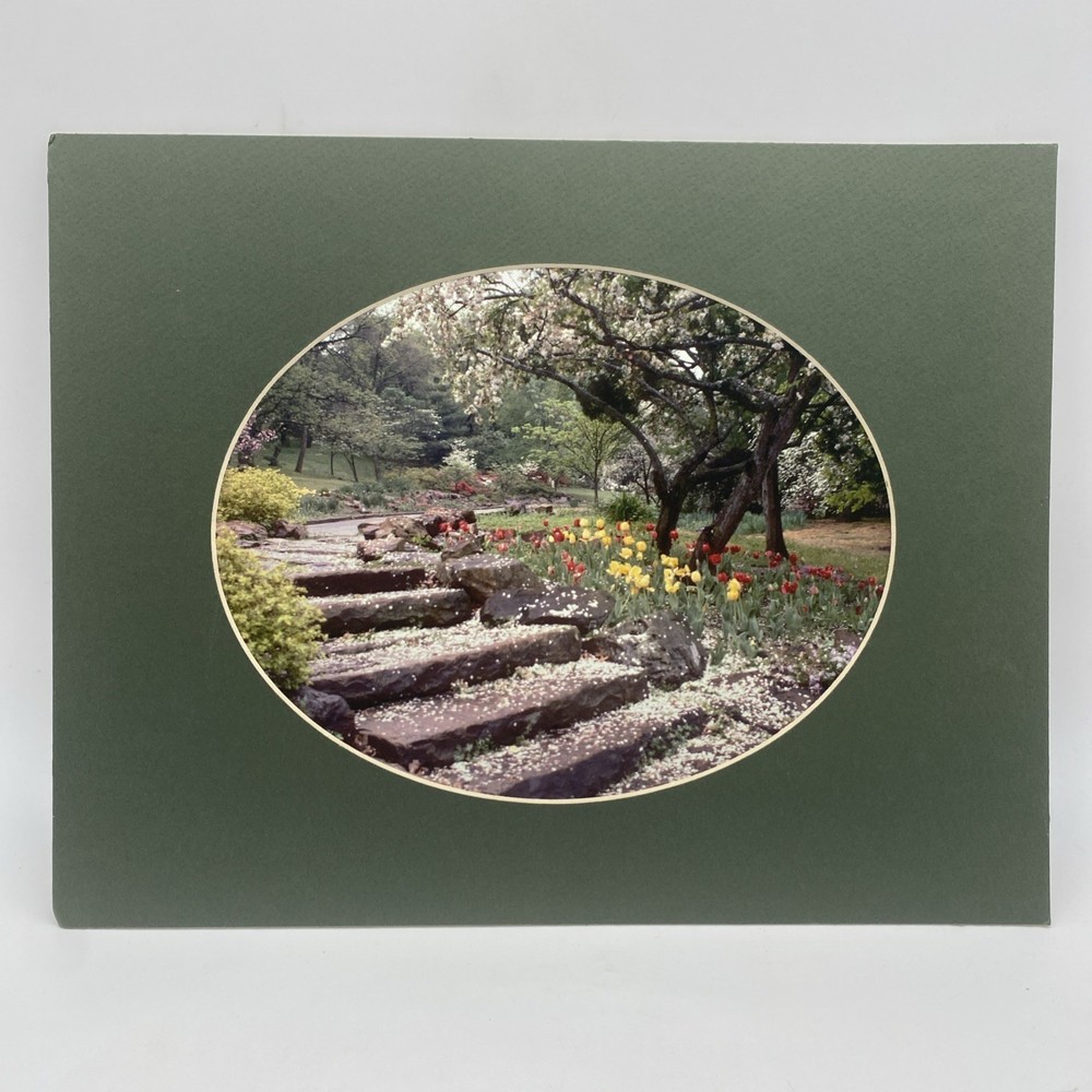 Matted Flower Garden Landscape Photo Print 11 X 14 Wall Art Gallery Decor