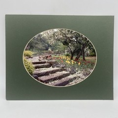 Matted Flower Garden Landscape Photo Print 11 X 14 Wall Art Gallery Decor