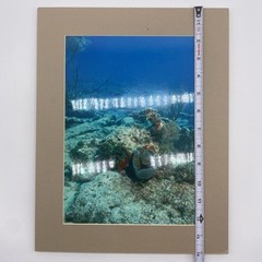Matted Underwater Ocean Photo Print 11 X 14 Wall Art Gallery Decor