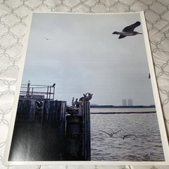 Signed Wildlife Landscape Photograph of Birds by Water and Cityscape