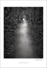New York City – Inwood – Signed Print by Photographer Richard Serviss