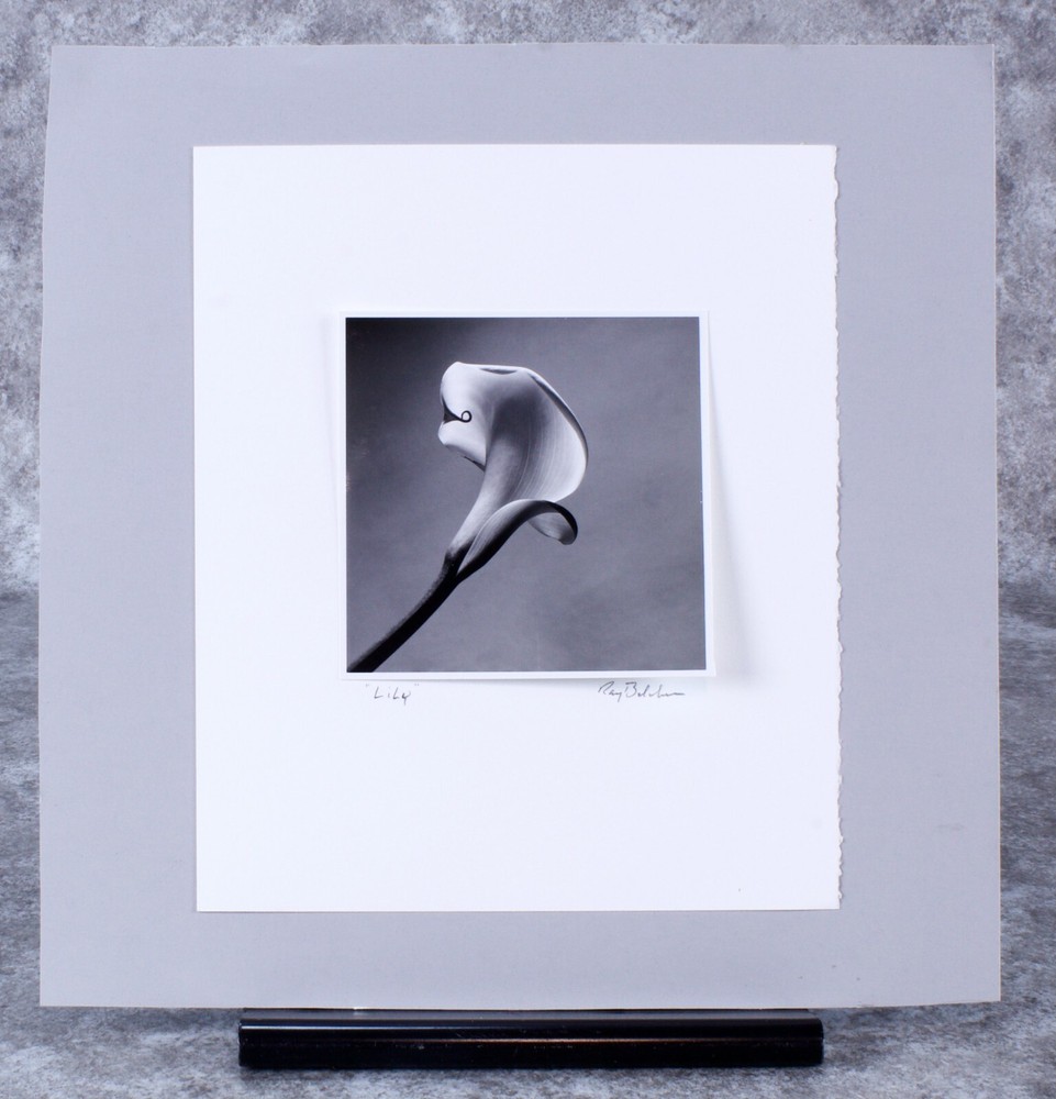 Ray Belcher Black and White Photograph Lily 1970