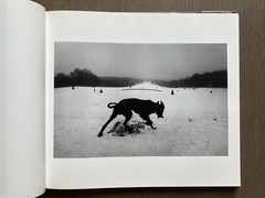 🎈SALE! Josef Koudelka Exiles Revised and Expanded 1997 HC DJ RARE! Super Book!