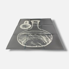 Sylvie Bussières «Sèrie Inutiles de Cristal» Foto No.2 Photogram Mural Wall Art