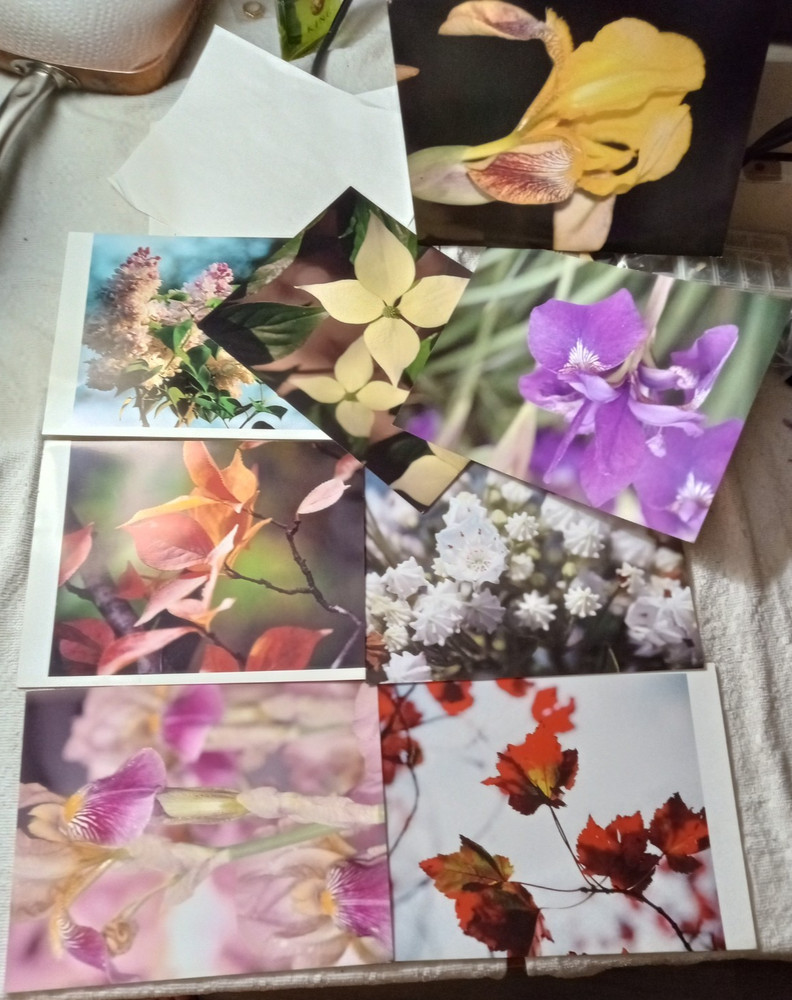 Lot of 8 Photo Prints Flowers & Nature Print Wall Art 8.5″x11, on Kodak
