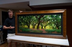 Original Limited Edition Acrylic Mounted Metallic Fine Art Photograph