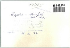 39843291 – 4775 Herzfeld Kath. Church Photo Original From Archive Of A