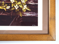 Vtg «Canadian Dogwood» 8×10 Photograph, Signed, Matted & Framed (13×16) LEE MANN