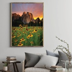 Yosemite Valley Sunflowers, Wildflowers in The Meadows, Yosemite National Park