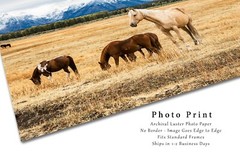 Western Photography Print – Picture of Palomino Horse in Grand Tetons