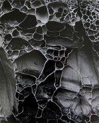 BRETT WESTON Signed 1970’s Original Photograph – «Abstract Image»