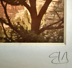Mike Buchheit Signed Grand Canyon Yavapai Point Photograph Sunset matted 6×12