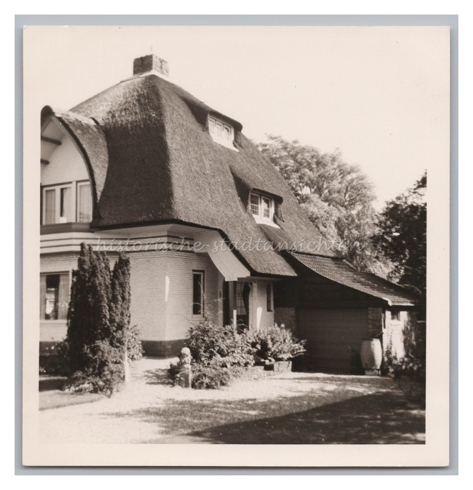Harlem / Netherlands 1966 – Residential Thatched Roof – Old Photo 1960s