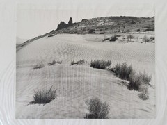7×9 Black & White Stephen Stoneberg (Asheville, NC) Photographs on 13×14 Mattes
