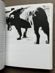 🎈SIGNED! Daido Moriyama – PHAIDON COLLECTION 55, First Limited Ed 2001 MegaRARE
