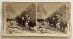 USA US Quatre – Women à Cheval California 1894 Photo Stereo Vintage