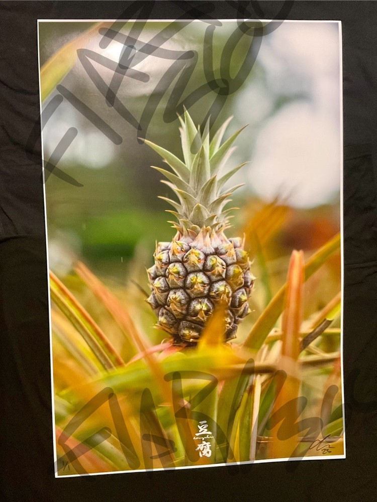 1 of 1 DOUPHU Pineapple Photo SIGNED Print Original Autographed ansel adams art
